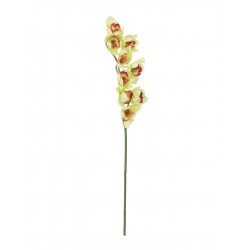 EUROPALMS Cymbidium branch,...