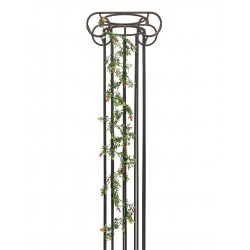 EUROPALMS Chili garland,...