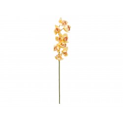 EUROPALMS Cymbidium branch,...