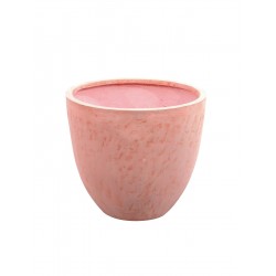 EUROPALMS Cachepot...