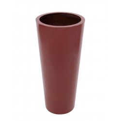 EUROPALMS LEICHTSIN...