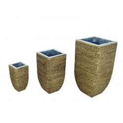 EUROPALMS Design flower...