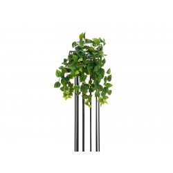 EUROPALMS Philo bush...