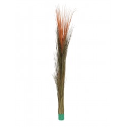 EUROPALMS Reed grass, light...