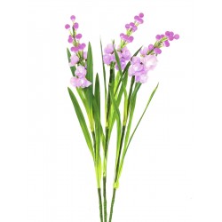 EUROPALMS Arum set, 3...