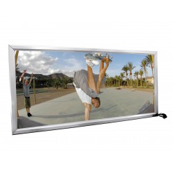 EUROPALMS Illuminated...