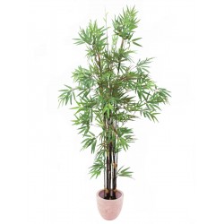 EUROPALMS Bamboo black...