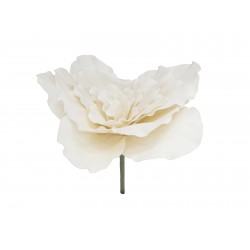 EUROPALMS Giant Flower...