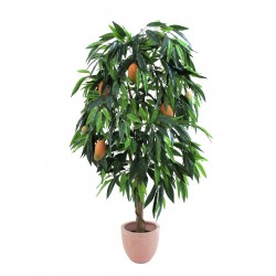 EUROPALMS Mango tree with...