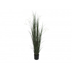 EUROPALMS Willow branch...