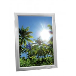 EUROPALMS Illuminated...