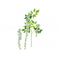 EUROPALMS Wisteria branch,...