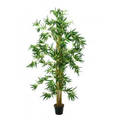 EUROPALMS Bamboo multi...