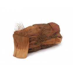 EUROPALMS Coconut-bark,...