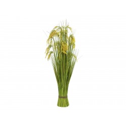 EUROPALMS Reed Grass Bunch,...