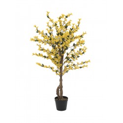 EUROPALMS Forsythia tree...