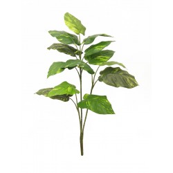 EUROPALMS Pothos, 3 trunks,...