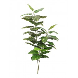 EUROPALMS Pothos, 3 trunks,...