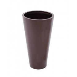 EUROPALMS LEICHTSIN...