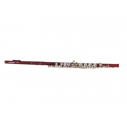 DIMAVERY QP-10 C Flute, red