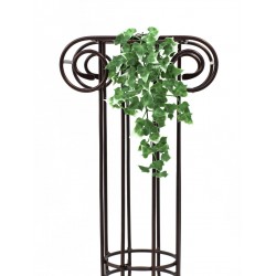 EUROPALMS Ivy hanging...