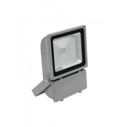 EUROLITE LED IP FL-100 COB...