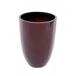 EUROPALMS LEICHTSIN CUP-49,...