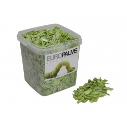 EUROPALMS Deco Wood, lime,...