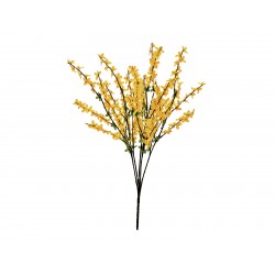 EUROPALMS Forsythia bush,...