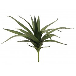 EUROPALMS Aloe (EVA),...