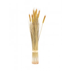 EUROPALMS Wheat bunch,...