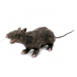 EUROPALMS Rat, lifelike...