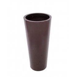 EUROPALMS LEICHTSIN...