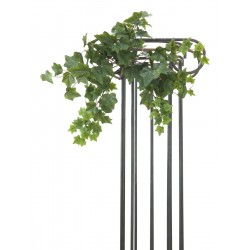 EUROPALMS Ivy tendril,...