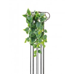 EUROPALMS Philo bush,...