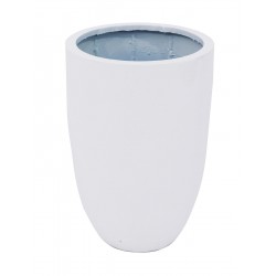 EUROPALMS LEICHTSIN CUP-49,...