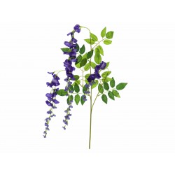 EUROPALMS Wisteria branch,...