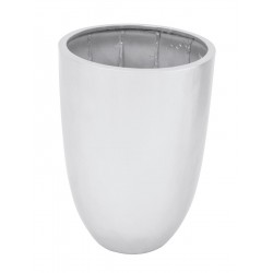 EUROPALMS LEICHTSIN CUP-69,...