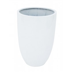 EUROPALMS LEICHTSIN CUP-69,...