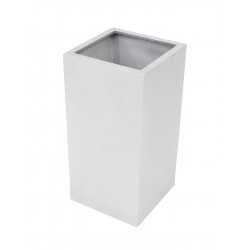 EUROPALMS LEICHTSIN BOX-80,...