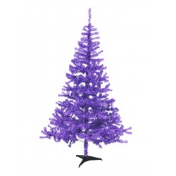 EUROPALMS Fir tree, purple,...