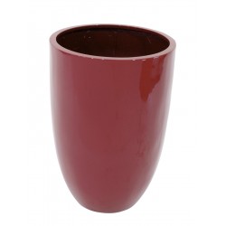 EUROPALMS LEICHTSIN CUP-69,...