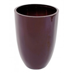 EUROPALMS LEICHTSIN CUP-69,...