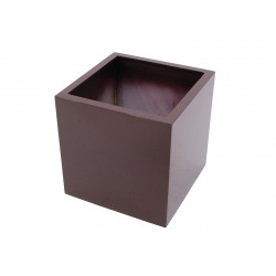 EUROPALMS LEICHTSIN BOX-50,...