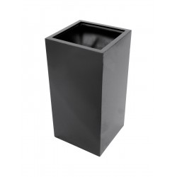 EUROPALMS LEICHTSIN...