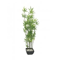 EUROPALMS Bamboo in bowl,...