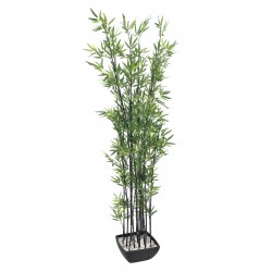 EUROPALMS Bamboo in bowl,...