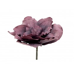 EUROPALMS Giant Flower...