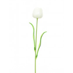 EUROPALMS Crystal tulip,...