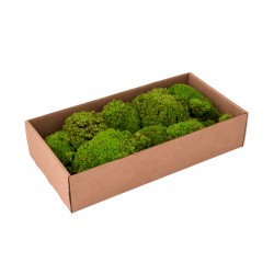 EUROPALMS Moss stains apple...